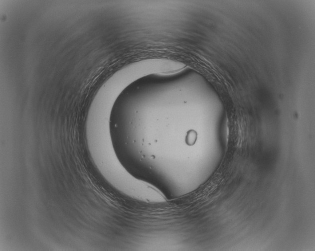 X0000067870750200605111759