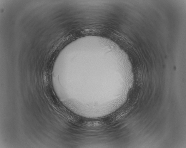 X0000067870751200605111759