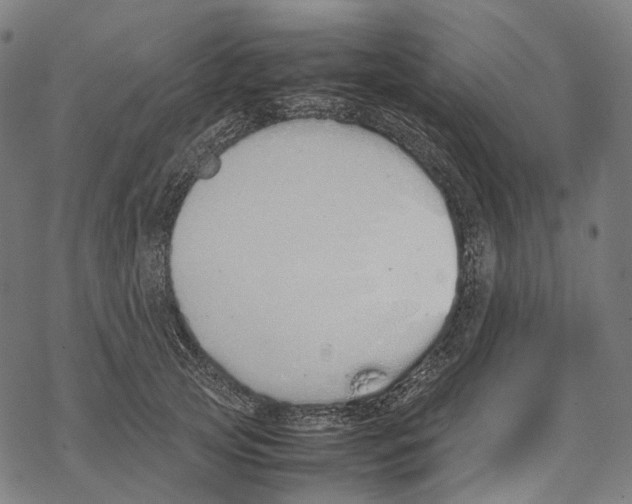 X0000067870753200605111759