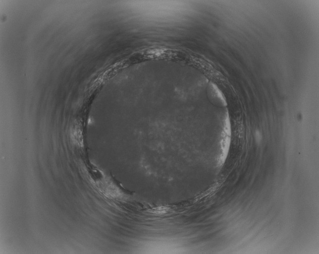 X0000067870754200605111759