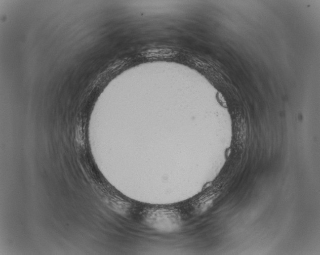 X0000067870755200605111759