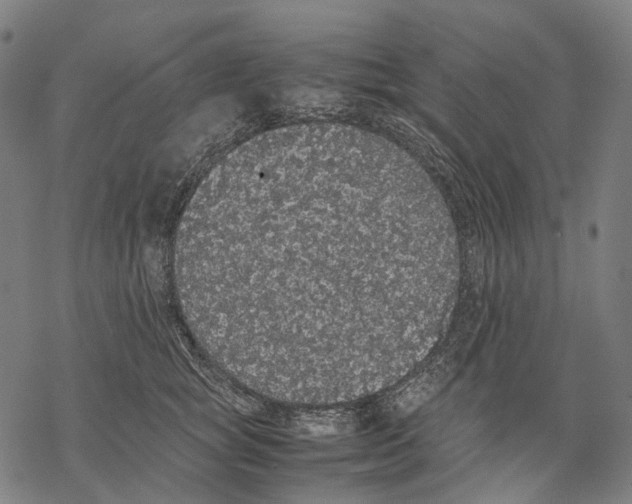 X0000067870757200605111759