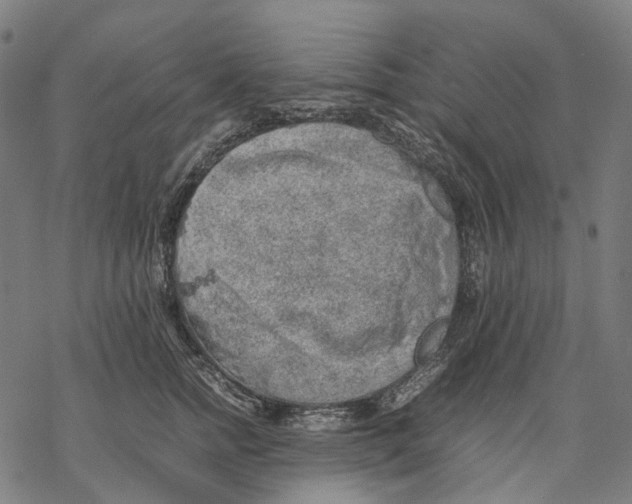 X0000067870758200605111759