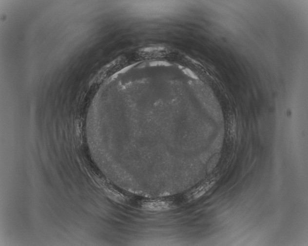 X0000067870759200605111759