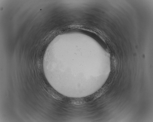 X0000067870761200605111759