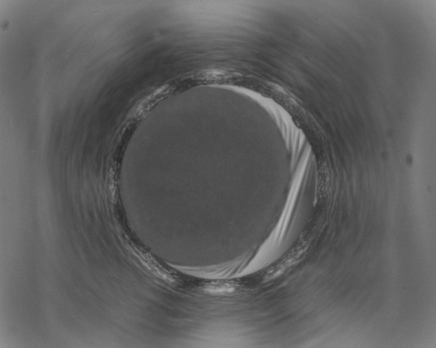 X0000067870762200605111759