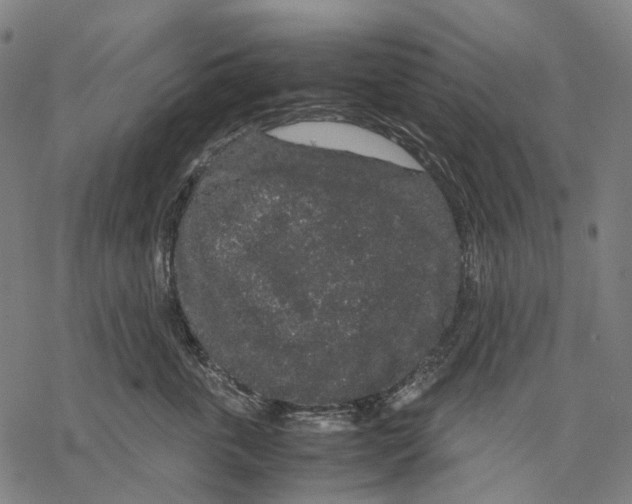 X0000067870763200605111759