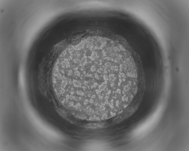 X0000067870765200605111759