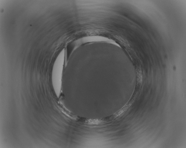 X0000067870766200605111759