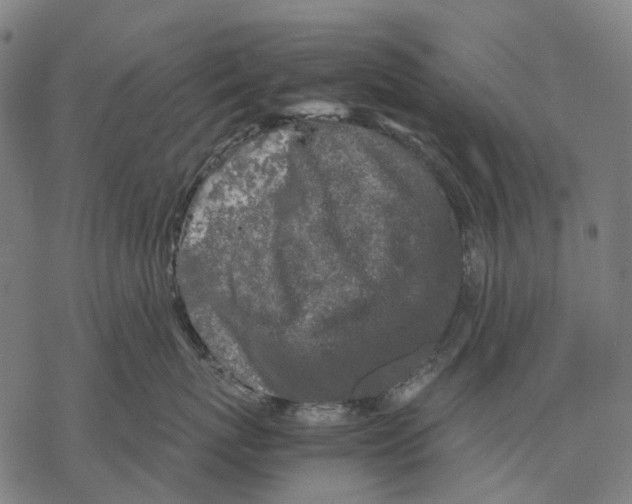 X0000067870767200605111759