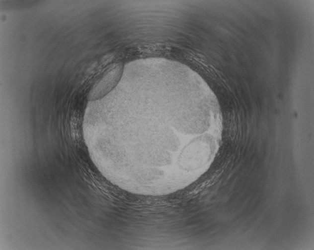 X0000067870770200605111758