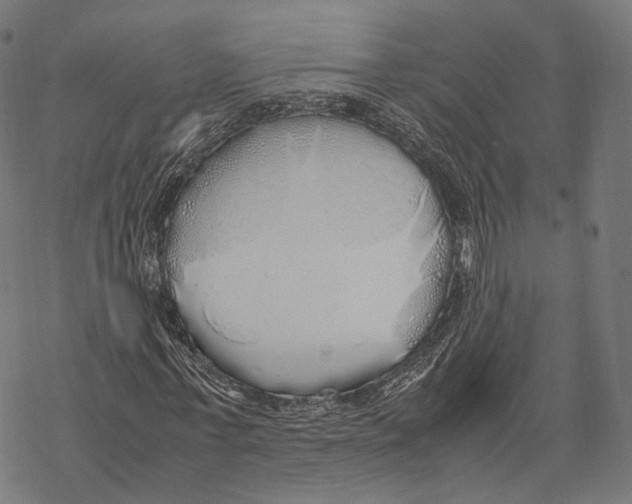 X0000067870771200605111758