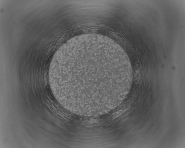 X0000067870772200605111758