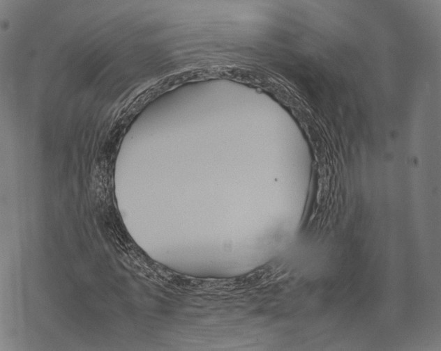 X0000067870773200605111758