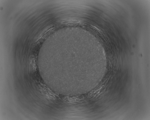 X0000067870774200605111758