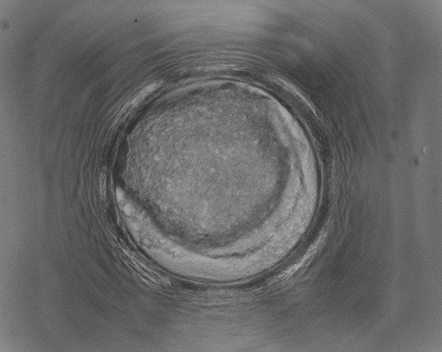 X0000067870777200605111758