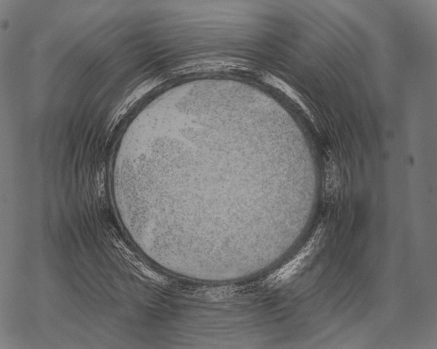 X0000067870778200605111758