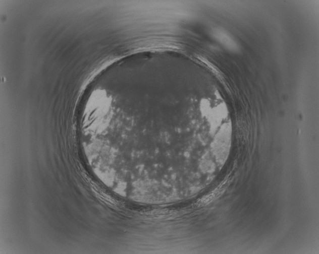 X0000067870779200605111758