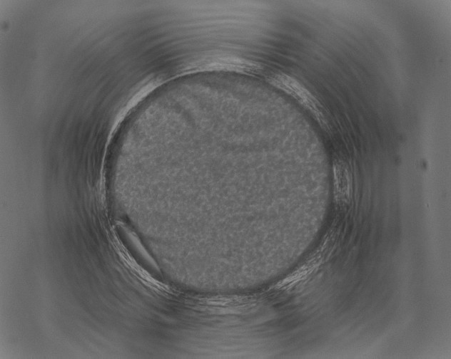 X0000067870780200605111758