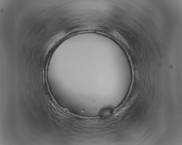 X0000067870781200605111758