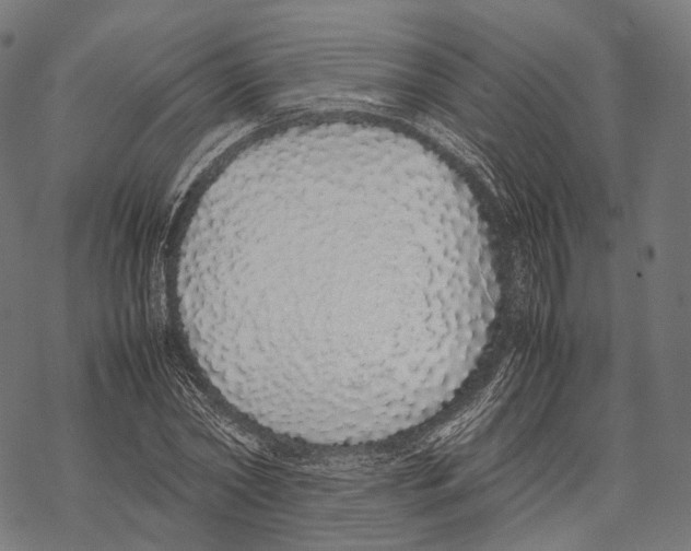 X0000067870782200605111758