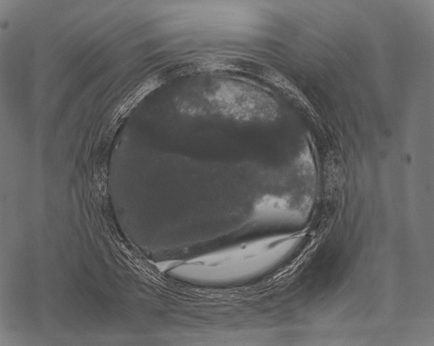 X0000067870785200605111758