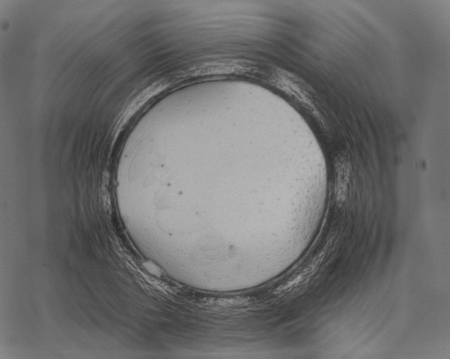 X0000067870786200605111758