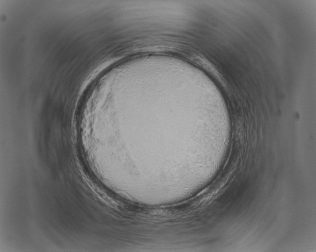 X0000067870787200605111758