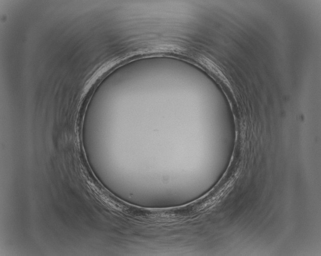 X0000067870789200605111758