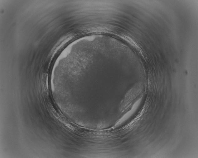 X0000067870790200605111758