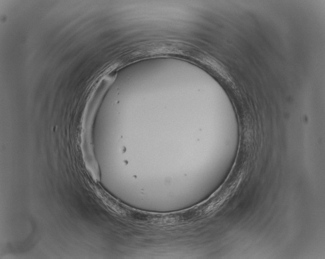 X0000067870793200605111758