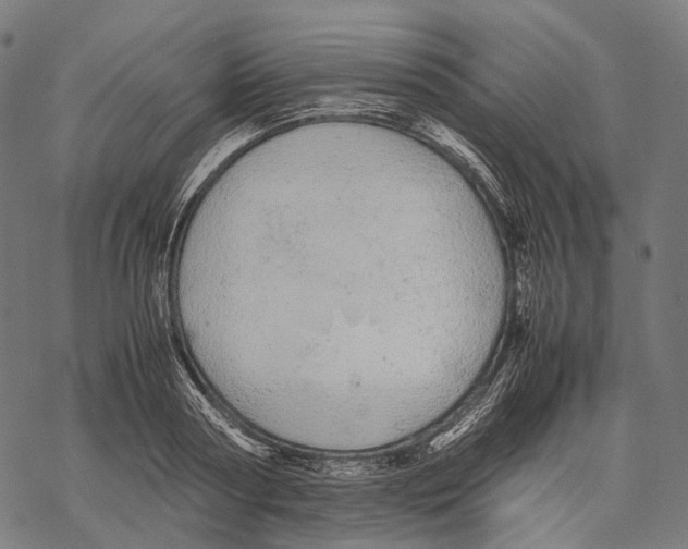 X0000067870794200605111758