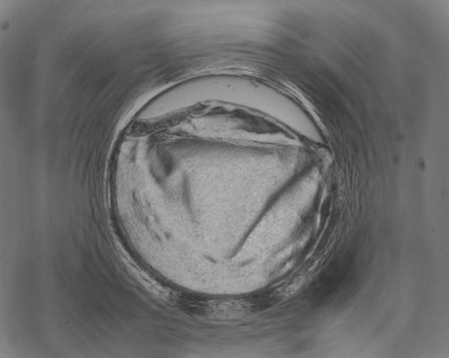 X0000067870795200605111758