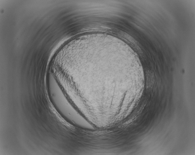 X0000067870796200605111758