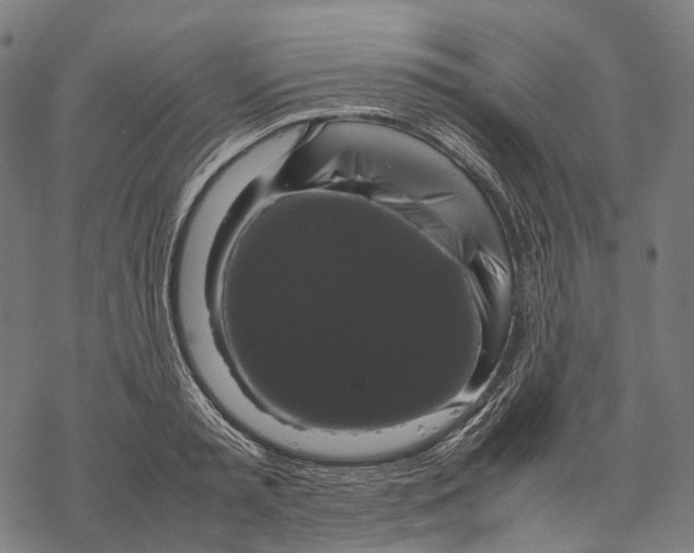 X0000067870797200605111758