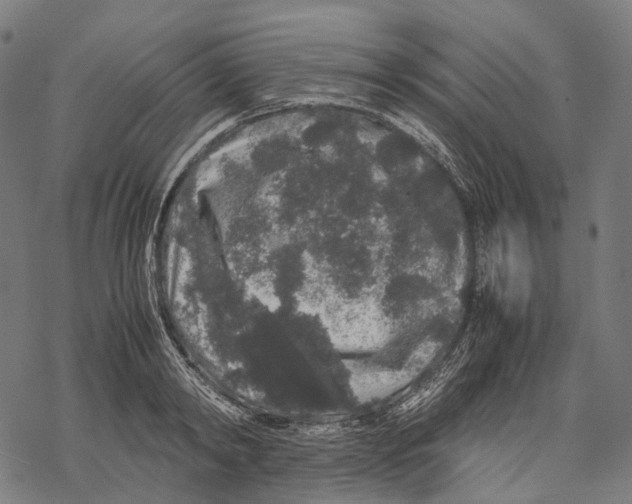 X0000067870798200605111758