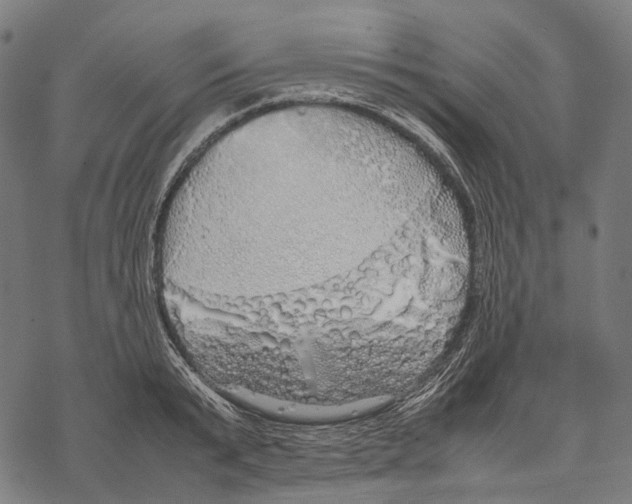 X0000067870799200605111758