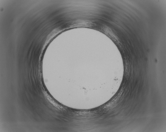 X0000067870800200605111758