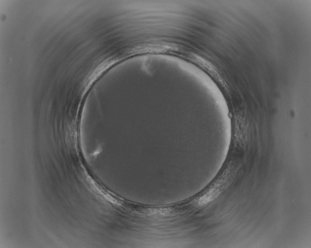 X0000067870802200605111758