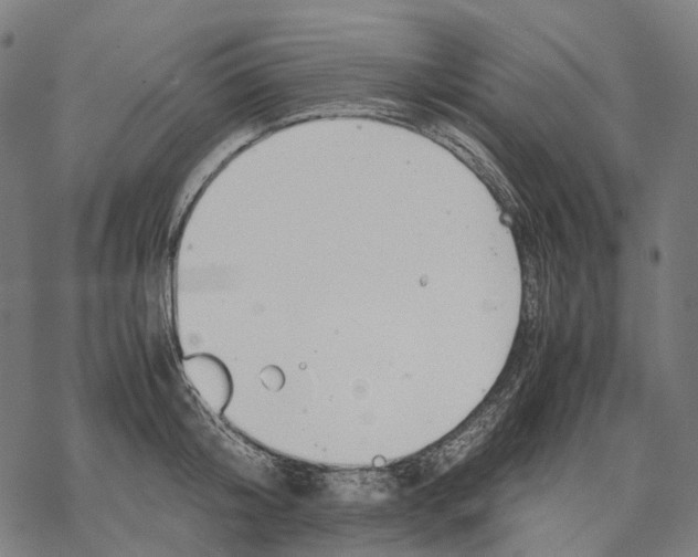 X0000067870804200605111758