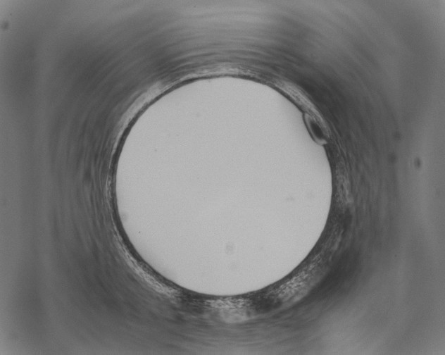 X0000067870805200605111758