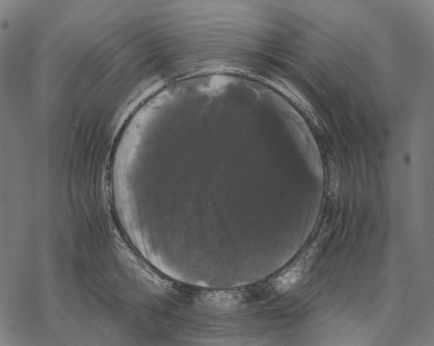 X0000067870806200605111758