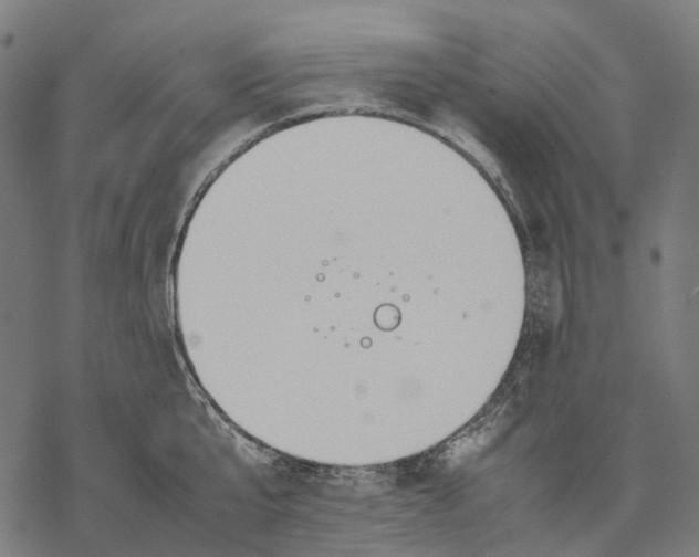 X0000067870807200605111758