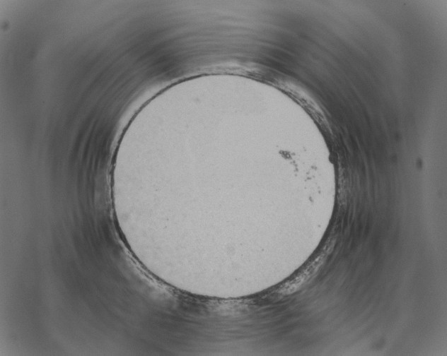 X0000067870808200605111758