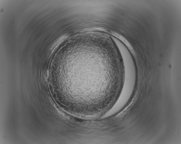 X0000067870809200605111758