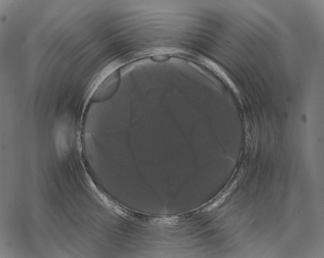 X0000067870810200605111758