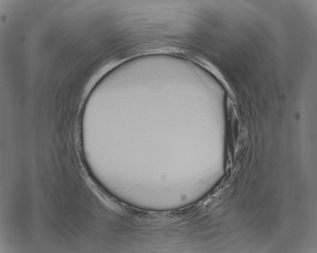 X0000067870811200605111758