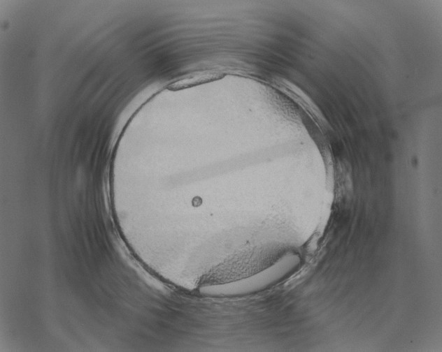 X0000067870812200605111758