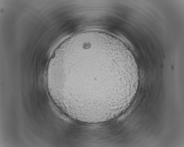 X0000067870814200605111758