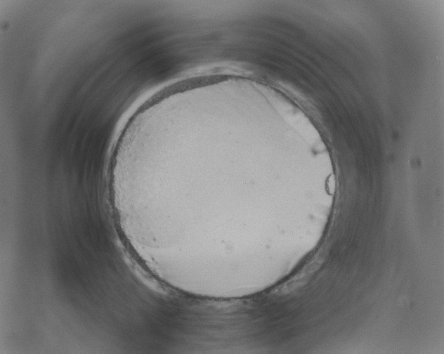 X0000067870816200605111758